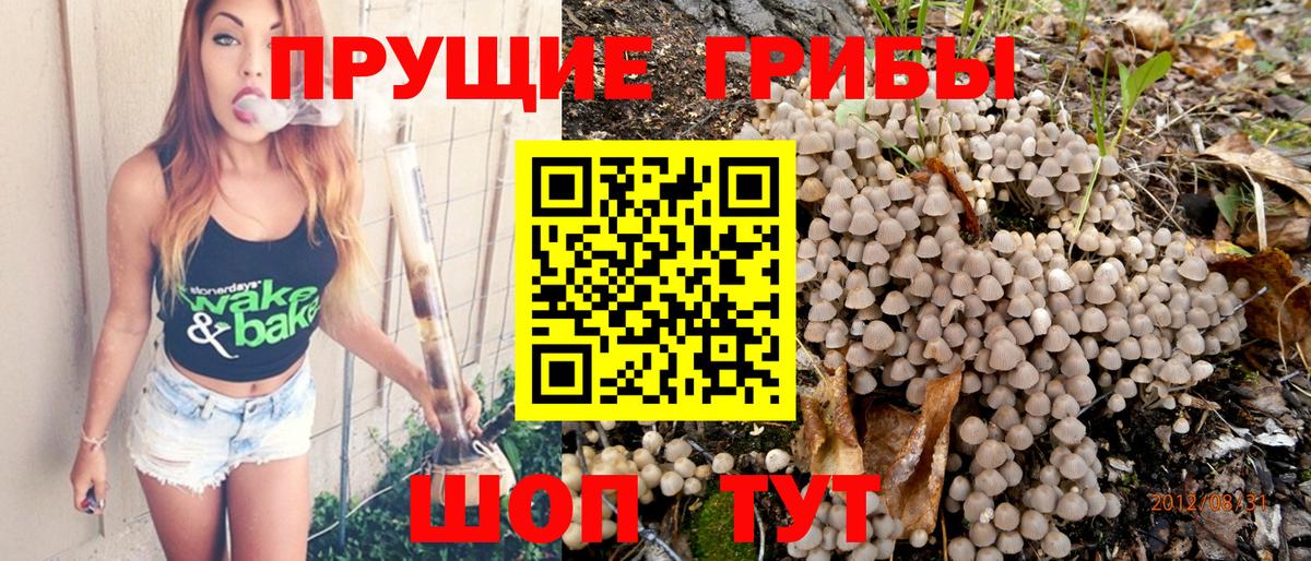 Добрянка  Псилоцибиновые грибы прущие грибы  Вход с VPN 